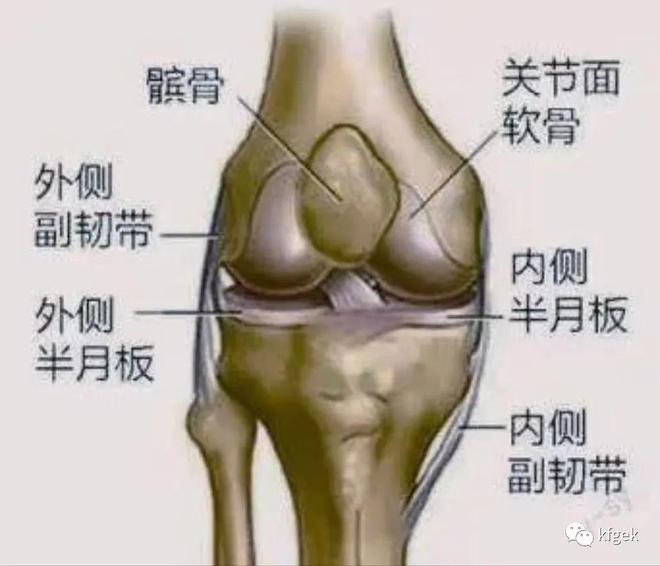 nba半月板,nba半月板缝合