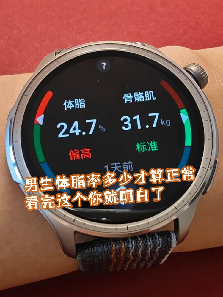 nba体脂率,体脂率 运动员