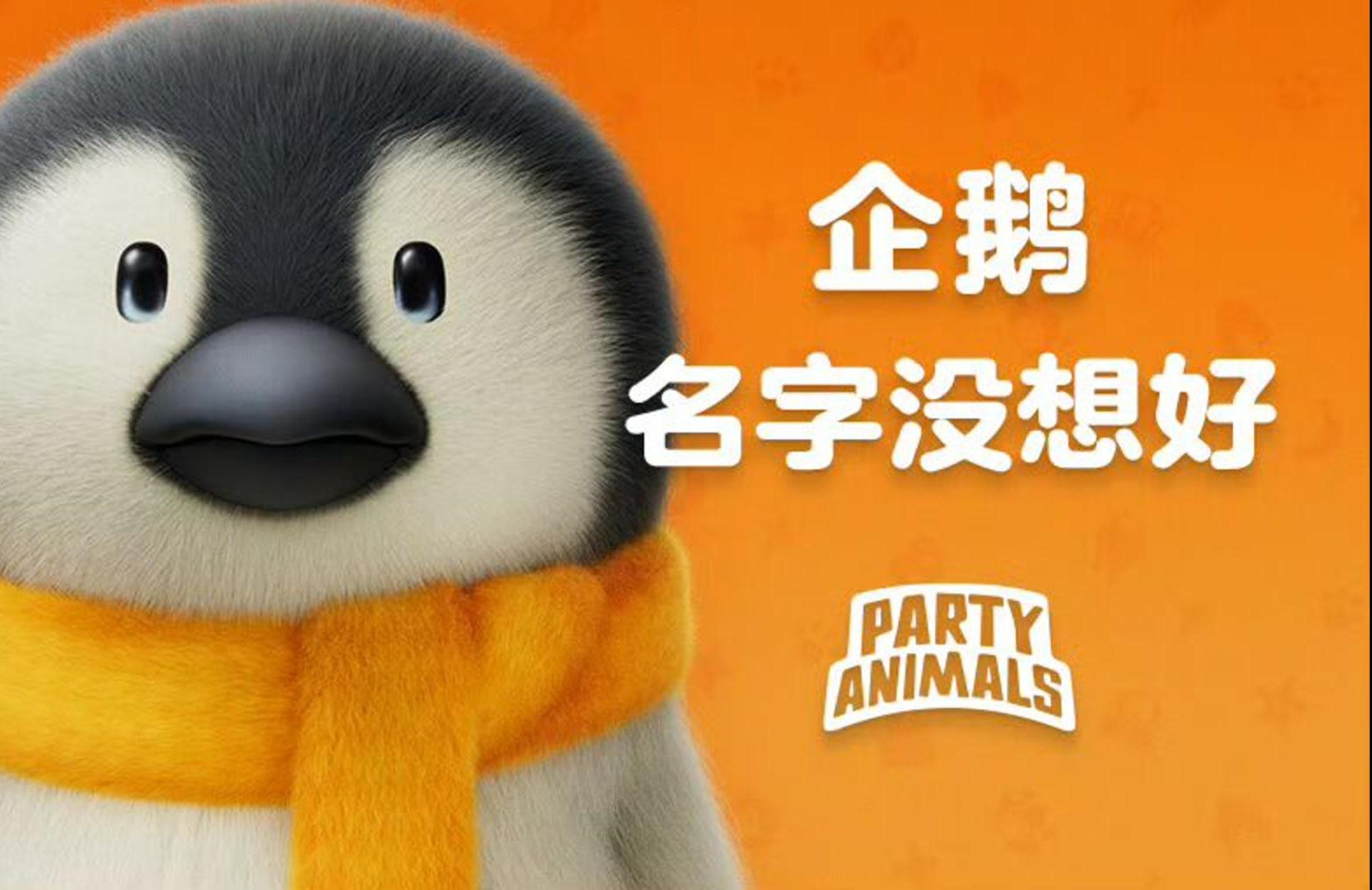 nba企鹅,nba企鹅直播