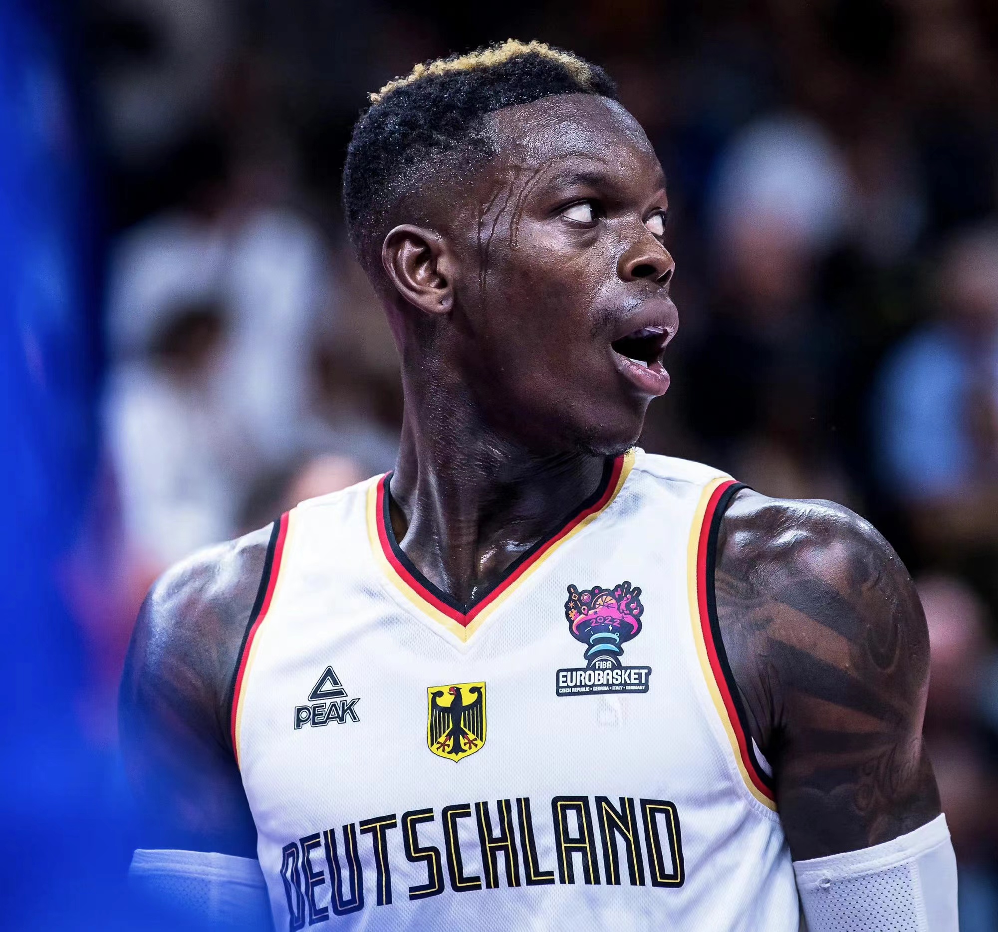 nba施罗德,NBA施罗德是哪国人